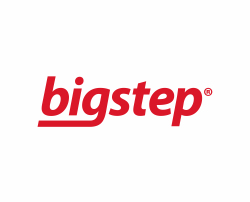logo bigstep